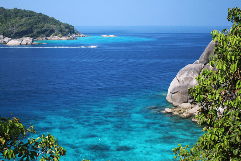 Phuket: Similan Islands Tour by Premium Speed Catamaran