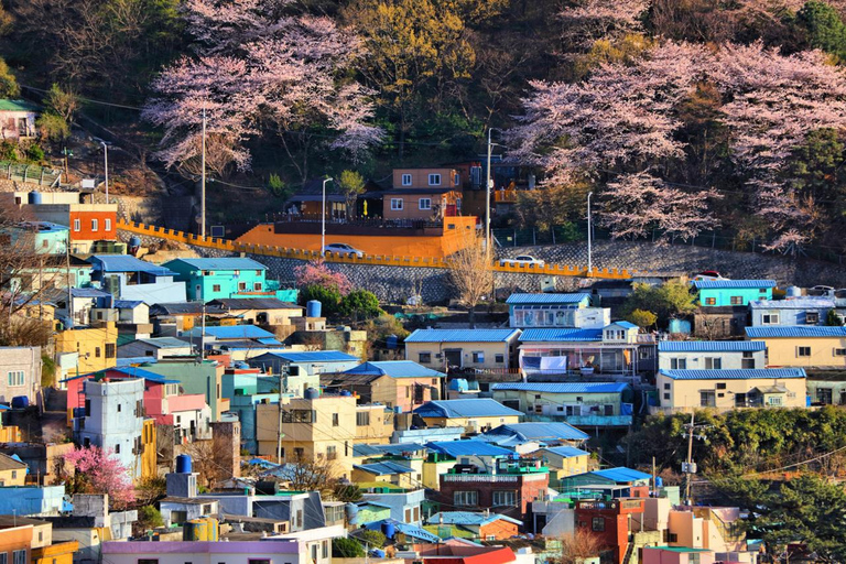 Explora Busan: Lo más destacado de la cultura y un tour panorámico de un día completo