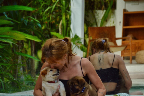 Bali : Cours de yoga pour chiots à Canggu avec boissons rafraîchissantes