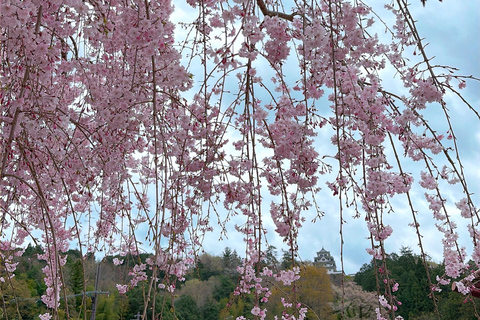 Gujo Hachiman Day Trip: Mountain Castle & Traditional Town The popular Gujyo town tour