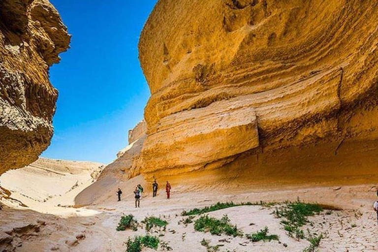 DESDE ICA EXCURSIÓN DE DÍA COMPLETO AL CAÑÓN DE LOS PERDIDOS