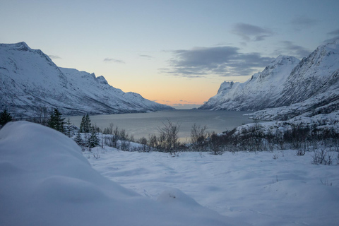 Tromsø: Kvaløya Island and Fjords Tour