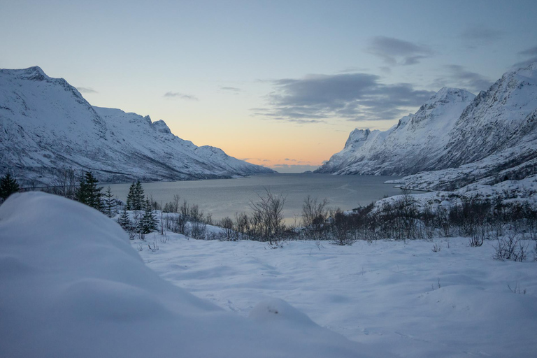 Tromsø: Kvaløya Island and Fjords Tour