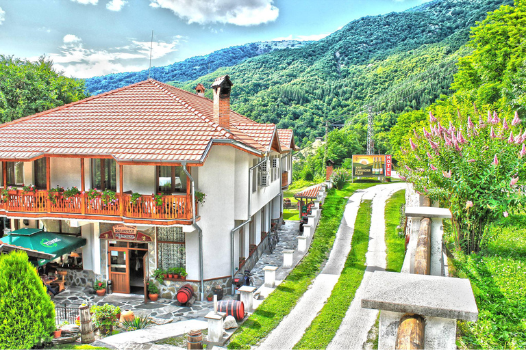 Sofia: Boyana Church, Rila Monastery & Hot Springs Tour