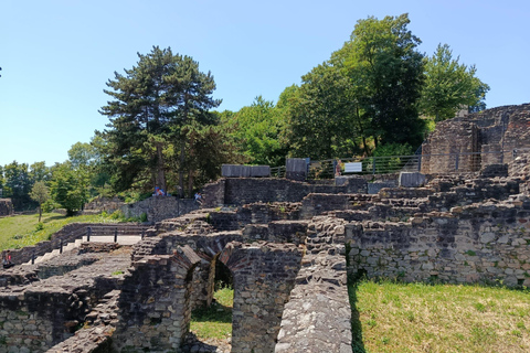 Lyon: Guided Tour of Fourvière Basilica and the Roman Theaters Fourvière: Guided Tour of the Basilica and Roman Theaters