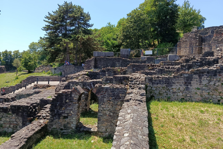 Lyon: Guided Tour of Fourvière Basilica and the Roman Theaters Fourvière: Guided Tour of the Basilica and Roman Theaters