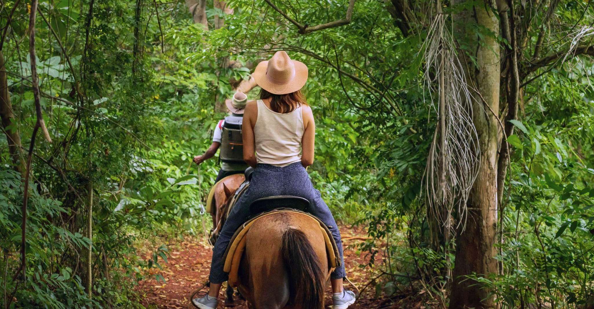 Cruseilles, Horseback Riding in the Countryside - Housity