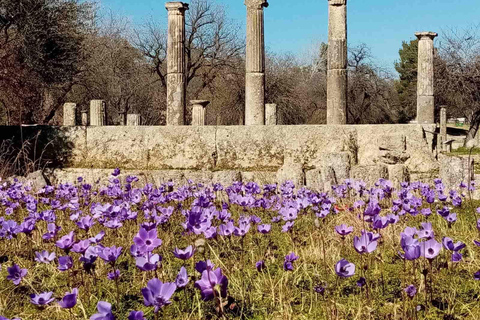 Guidad rundtur på den arkeologiska platsen och museet i Olympia