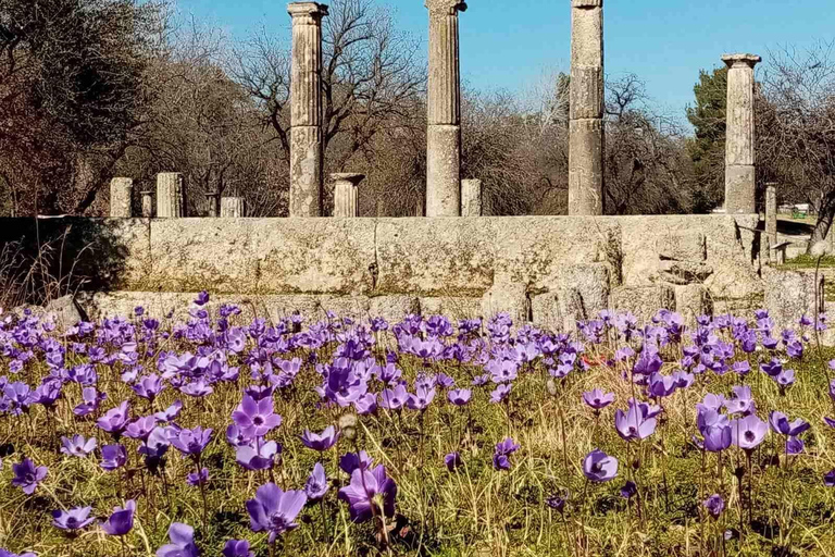 Guided tour of the archaeological site of Olympia