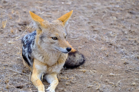Swakopmund: Horseback Riding Tour with Lunch