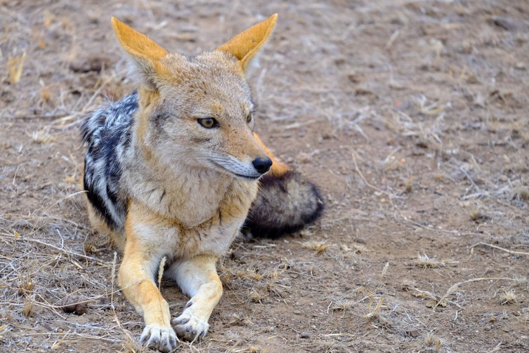 Swakopmund: Horseback Riding Tour with Lunch