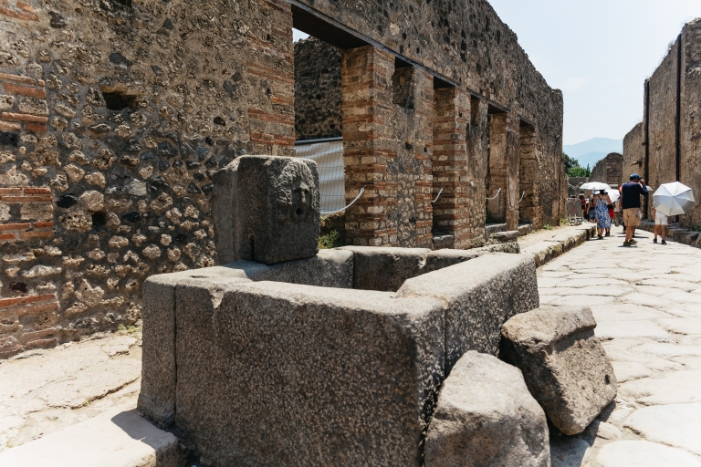 Vanuit Napels: dagexcursie naar Pompeii en de VesuviusMeertalige audiogids - ophaalservice vanaf het treinstation van Napels