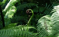 Wellington, Half Day Seal Coast Safari - Housity