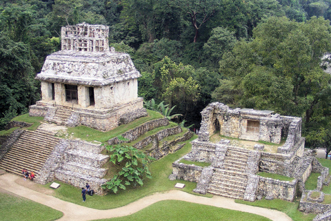 Chiapas: Palenque Archaeological Site Skip-the-Line Ticket