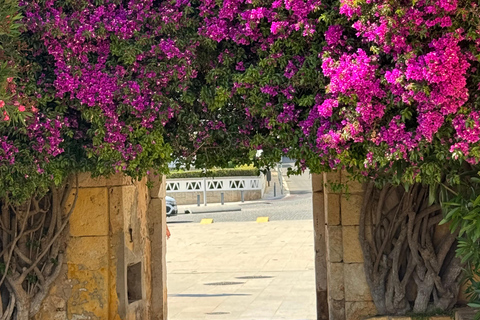 Tour particular de Lisboa a Algarve, Gruta de Benagil, Faro, Portimão