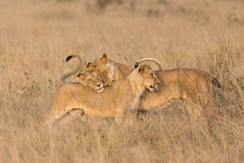 Nairobi: Lake Nakuru National Park Day Trip with Game Drive
