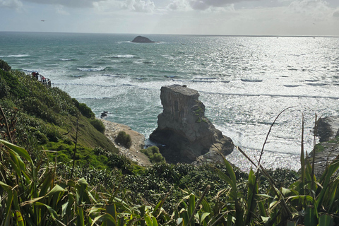 “City & Coast & Country” – A Relaxed Day Tour from Auckland “City & Coast & Country” – A Relaxed Day Tour from Auckland