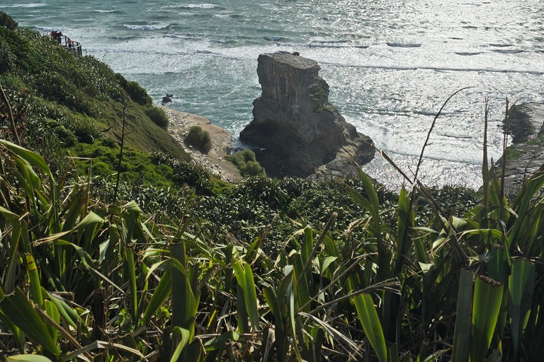 “City & Coast & Country” – A Relaxed Day Tour from Auckland “City & Coast & Country” – A Relaxed Day Tour from Auckland