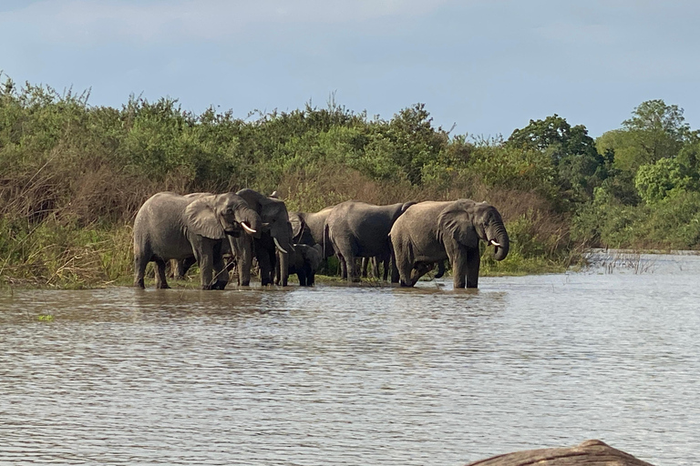 Safari de pesca inesquecível de 3 dias em Selous GR /Nyerere NP.