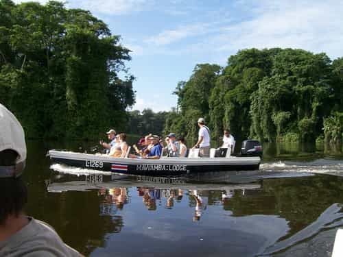 tortuguero national park from san jose