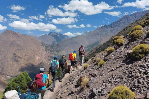 Frome Marrakech: Excursión de un día a la cumbre del Tedli en el Atlas