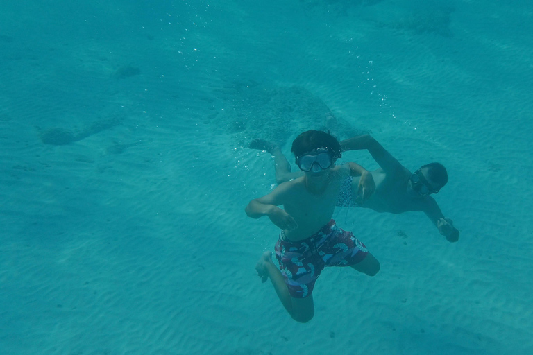 S’Arenal: Explora en barco la naturaleza hasta Cabo Blanco