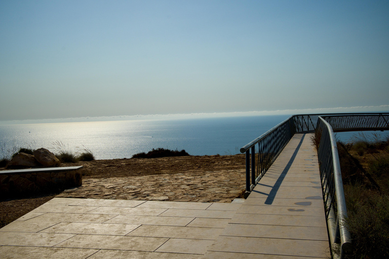 Torrevieja: Local Market and Panoramic Tour