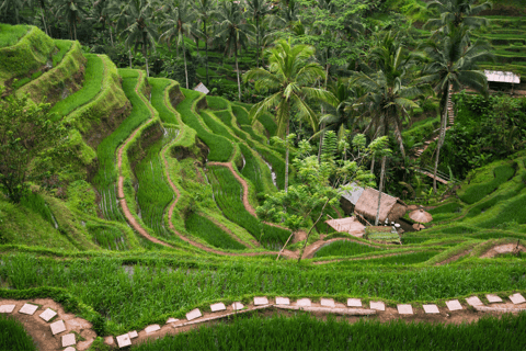 Bali: Ubud Tour with Sacred Monkey Forest & Rice Terraces