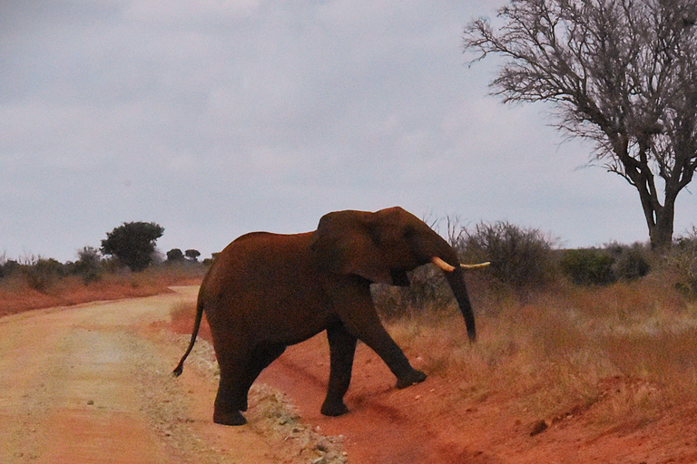 Nairobi: 4-Day Masai mara Naivasha Tour