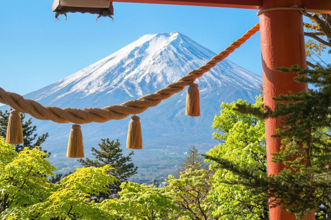 Tokyo: Mt Fuji & Oishi Park, Oshino Hakkai, Chureito Pagoda Free Karaage Chicken Set | Tokyo Station 8:00AM