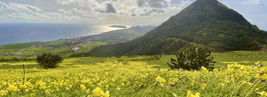Pico Castelo & Pico Facho Vereda : randonnée avec vue spectaculaire