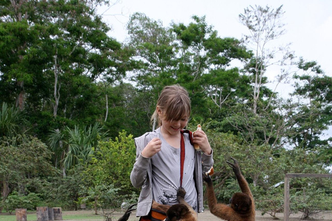 Excursion d&#039;une journée à l&#039;île aux singes