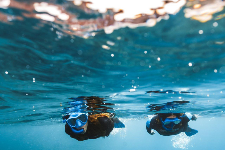 Lanzarote: Tour guiado com snorkel em Papagayo.