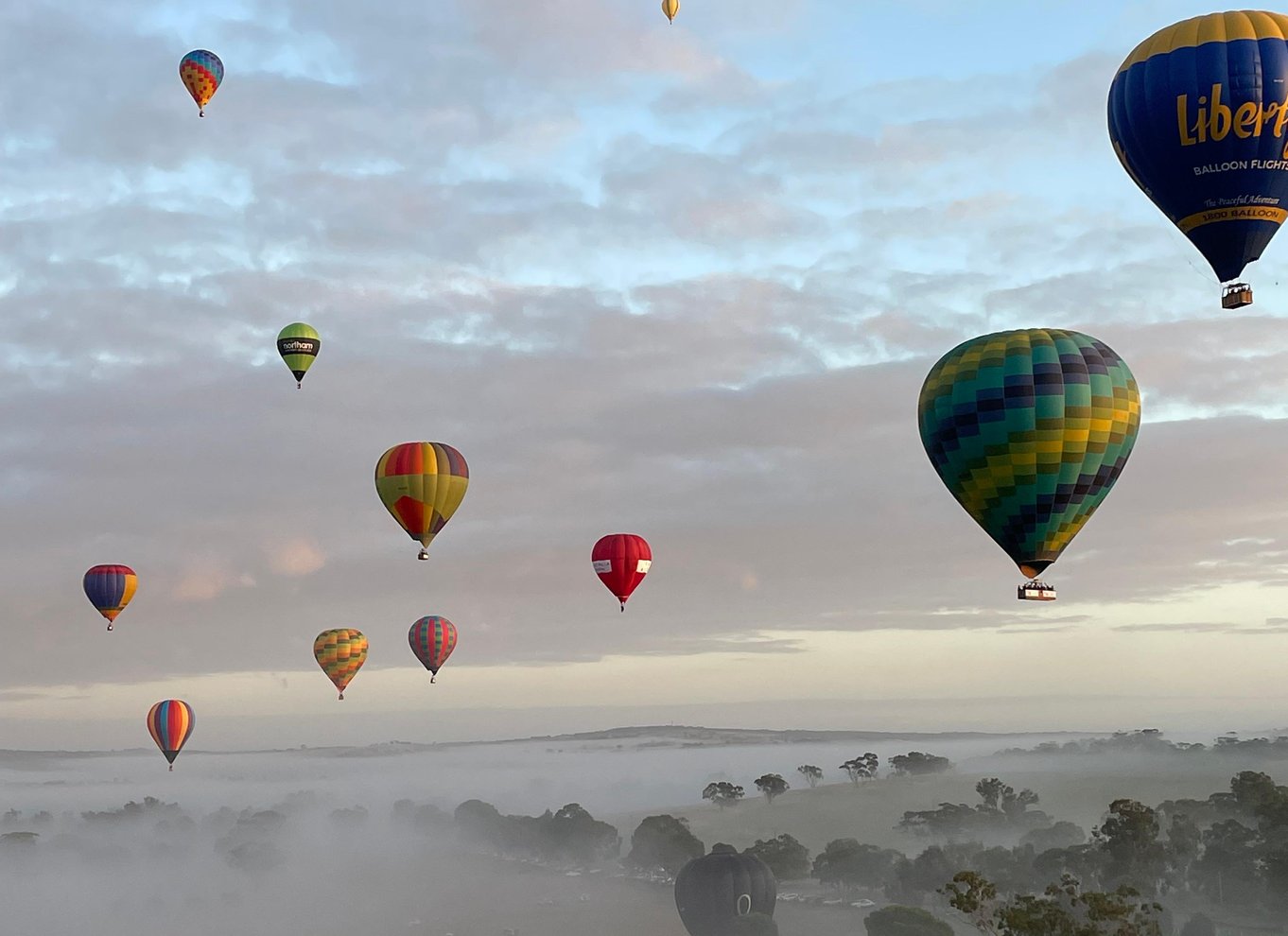 Perth til Northam: Ballonflyvning inklusive shuttlebus