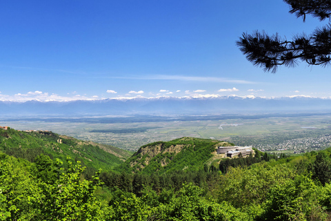 From Tbilisi: Kakheti Wine Region Tour with 9 Wine Tastings