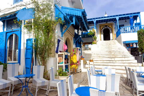 From Hammamet: Day Trip to the Medina of Tunis, Carthage, and Sidi Bou Said