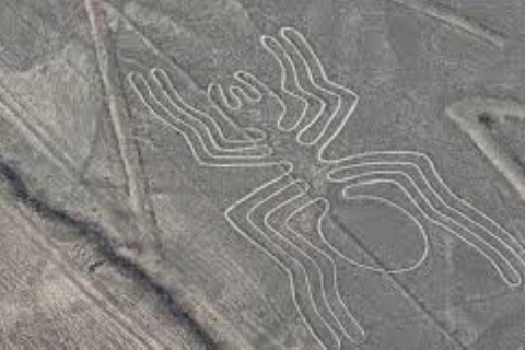 Die alten Nazca-Linien vom Himmel aus erforschen | Ganzer Tag |