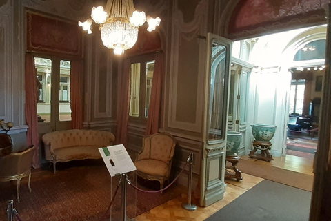 比尼亚德尔马、雷尼亚卡和康康之旅