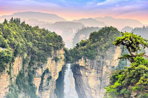 Zhangjiajie: Avatar Mountains, Tianzi, 72 Tower private tour