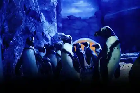 Muscat: Oman Aquarium Entry Ticket