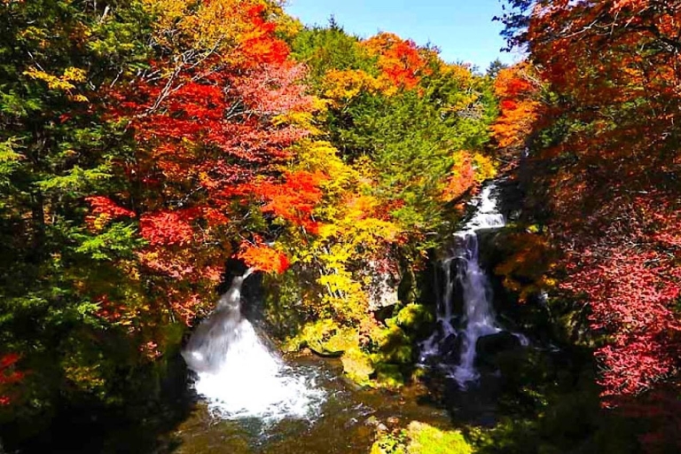 Nikko Private Charter Sightseeing Tour mit GuideVon Tokio aus: Nikko Private Tagestour