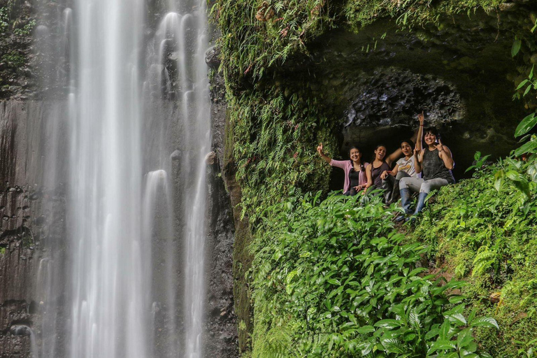 Quito: 3-Day Amazon Jungle Tour with Lodging & Meals