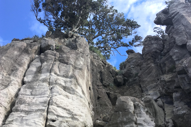 Outdoor Rock Climbing Auckland (Ti Point) - full day