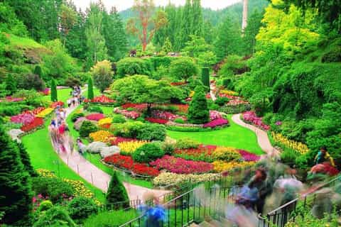 Tour de los jardines Butchart