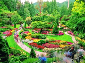 Butchart Gardens: Erkundungstour Butchart Gardens: Erkundungstour