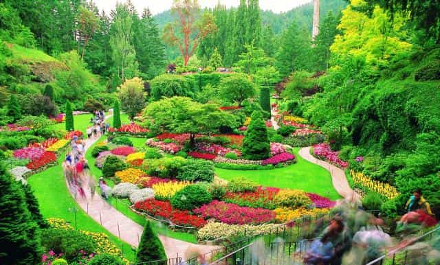 butchart gardens tour