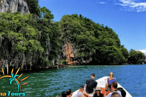 Avontuur in Samana: je perfecte uitje vanuit Punta Cana