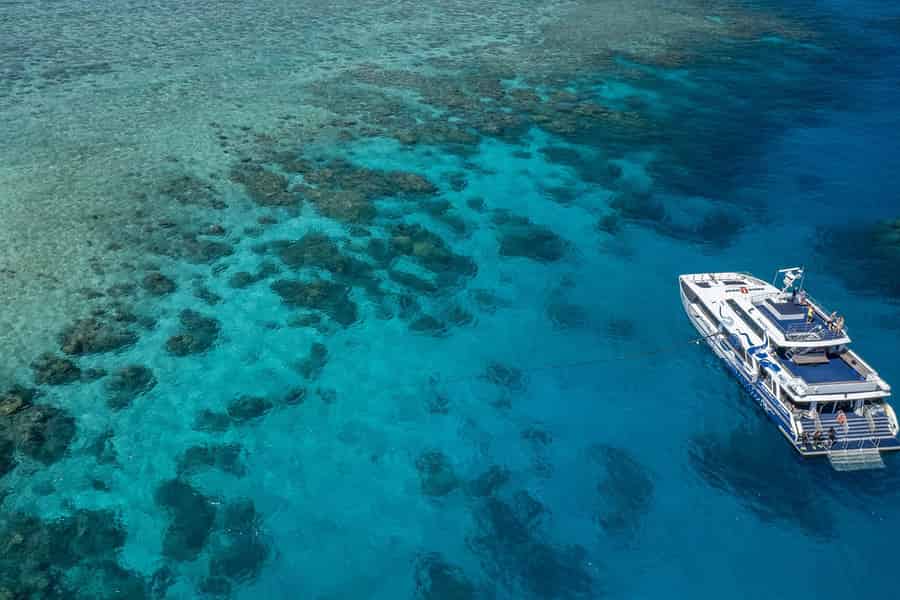 Cairns: Premium-Schnorchel- und Tauch-Tagestour am Riff. Foto: GetYourGuide Cairns: Premium-Schnorchel- und Tauch-Tagestour am Riff. Foto: GetYourGuide