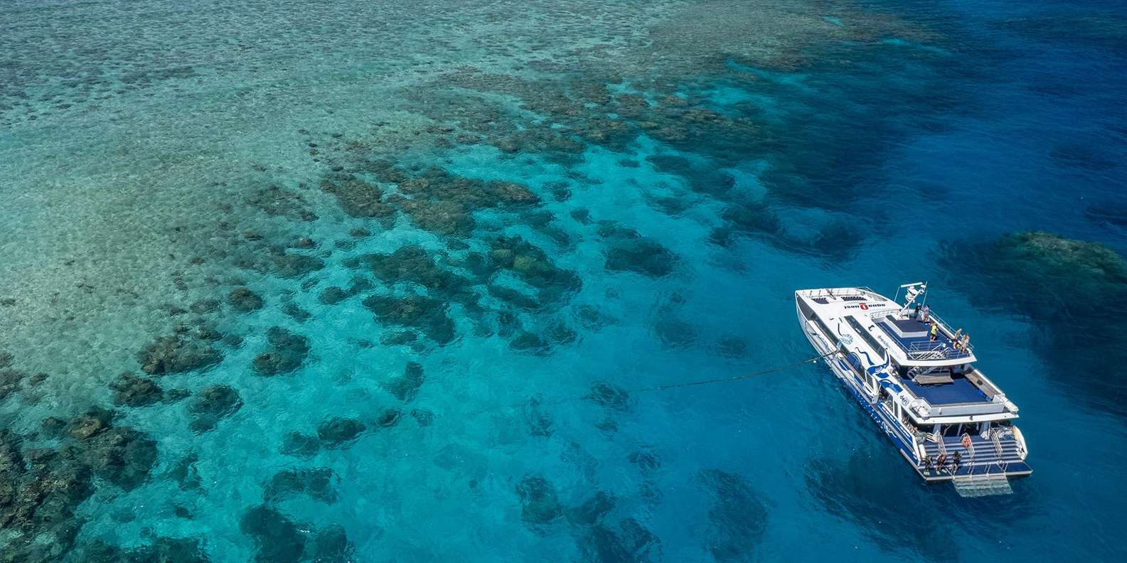 Cairns: Premium Snorkelling and Diving Reef Day Trip
