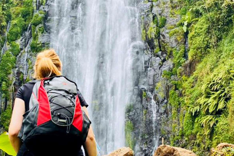 Excursão de um dia às cachoeiras, café e fontes termais de Materuni